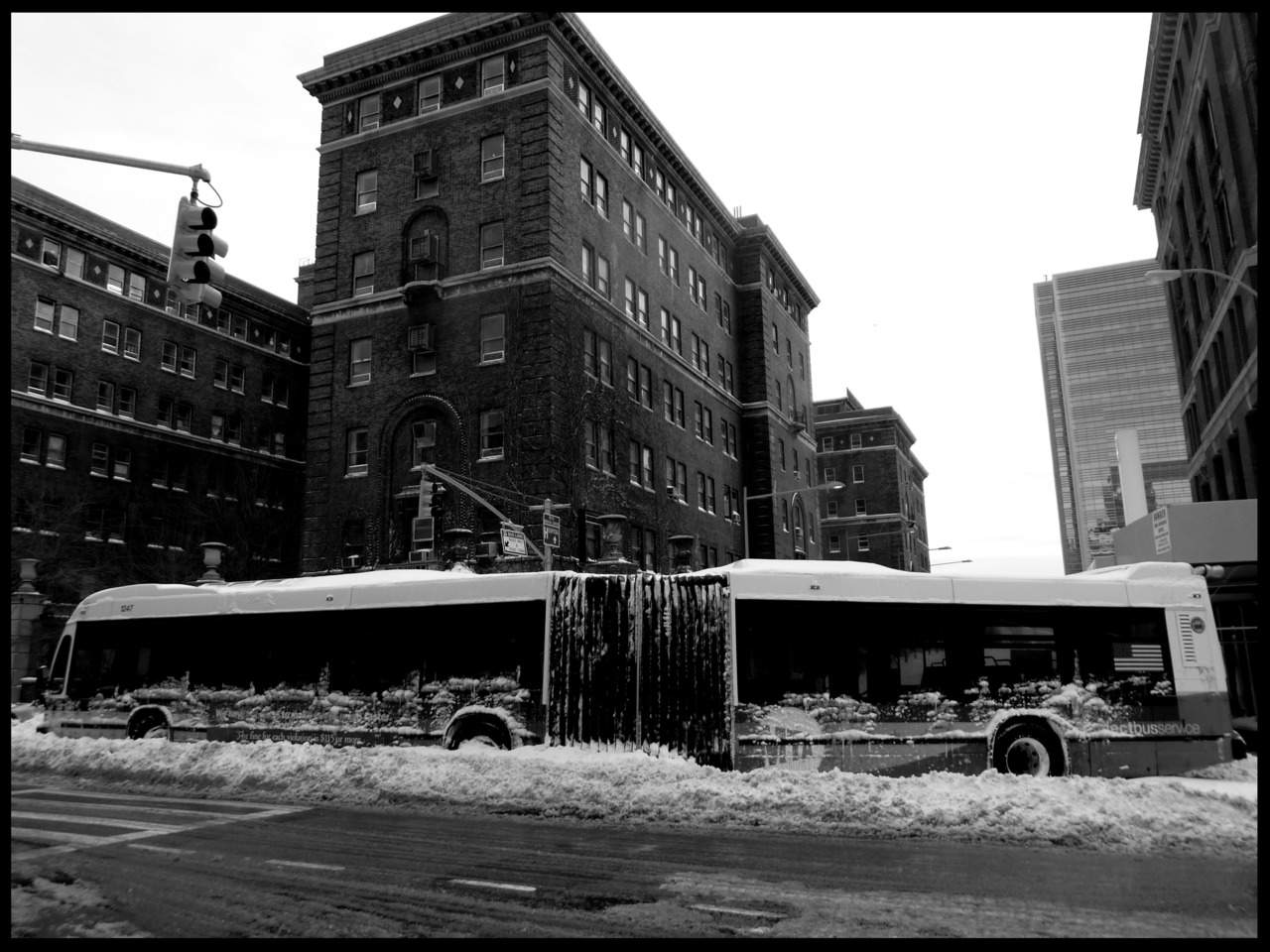BUS
