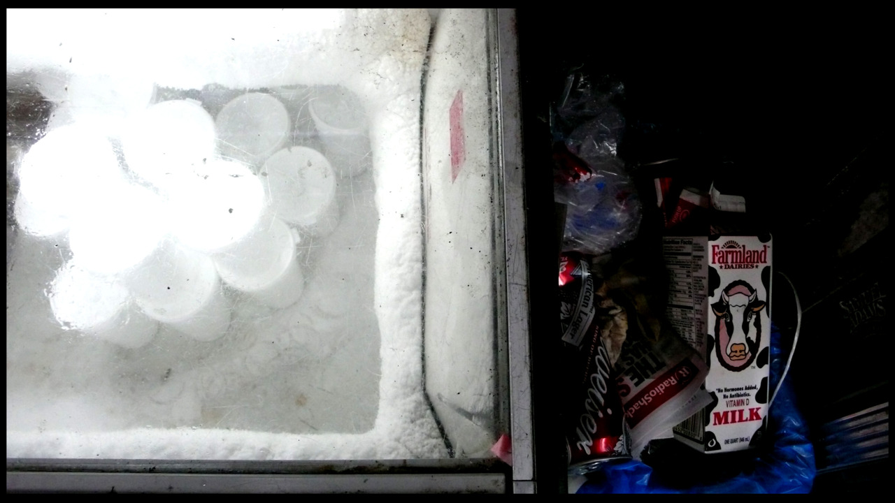 ICE TRASH