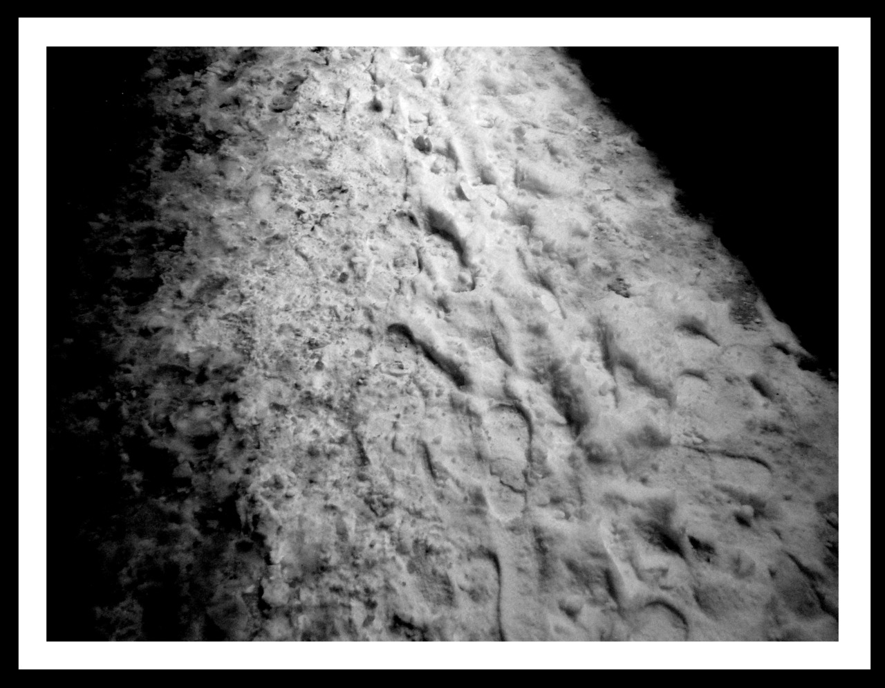 UNTITLED NYC WITER 2011