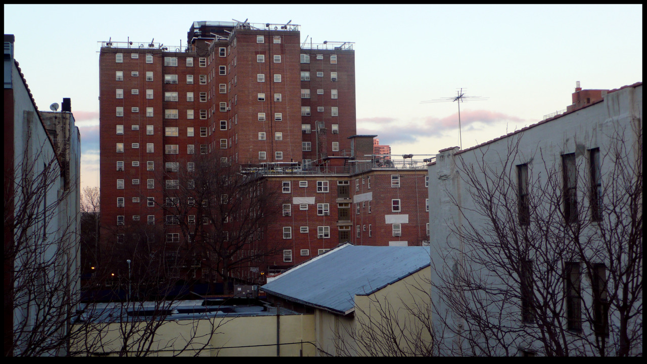 UNTITLED ( projects on Lexington )