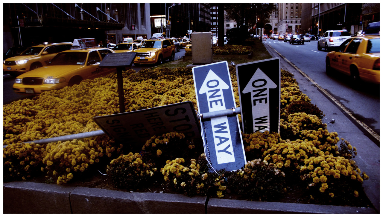 UNTITLED (this monkey’s gone to heaven) (park avenue) (you can only go up from here)